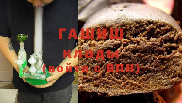 PSILOCYBIN Белокуриха