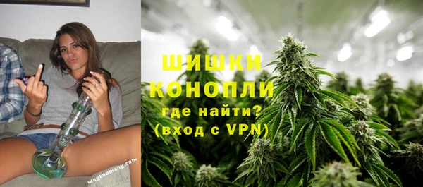 PSILOCYBIN Белокуриха
