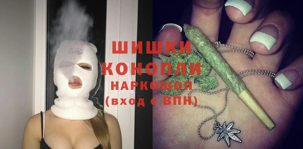 PSILOCYBIN Белокуриха
